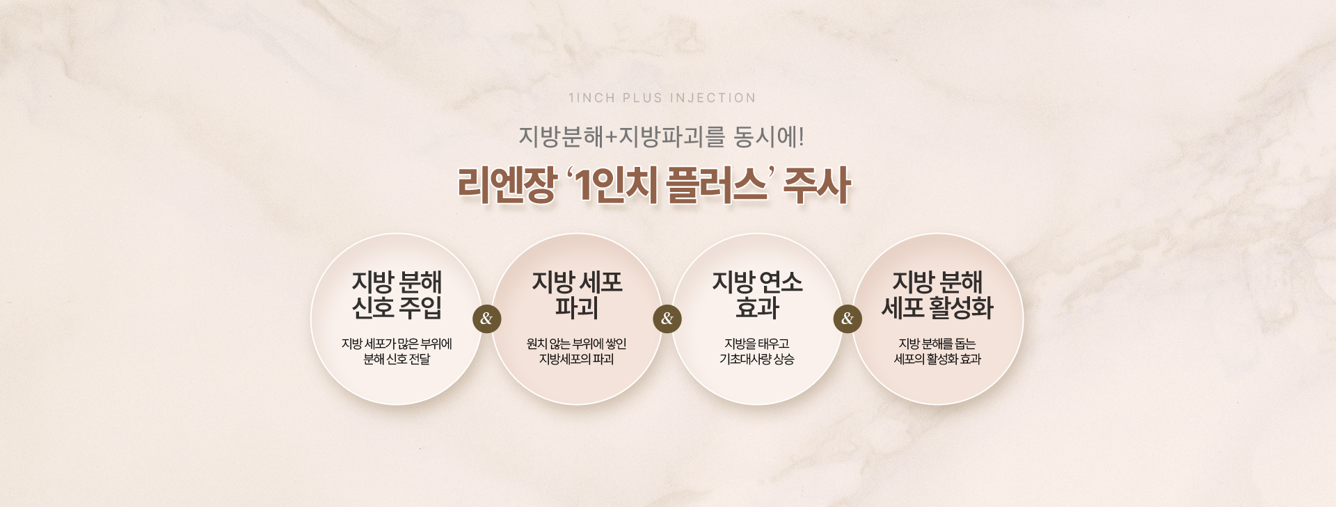 리엔장 1인치 플러스주사 장점